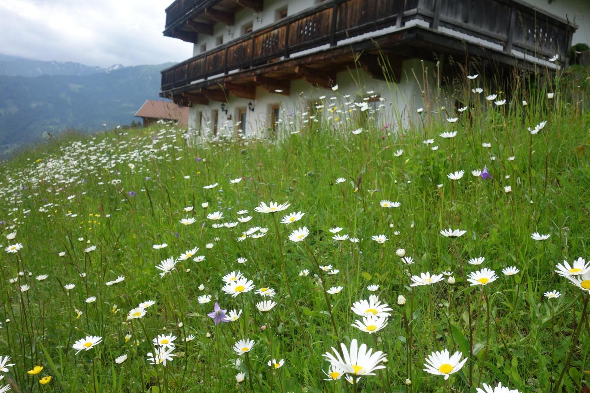 Rasterhof * Sillian